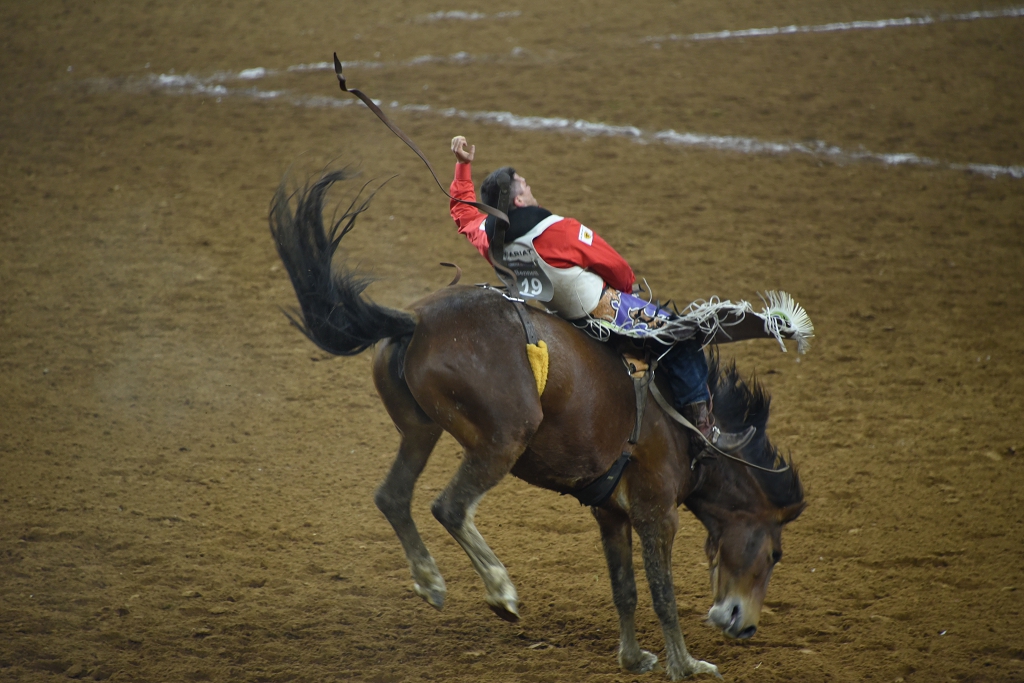 2015 03 22 Houston Rodeo 035.JPG